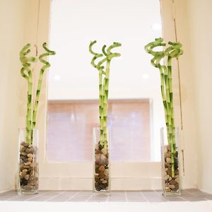 Budget Double Kamer in de Kelder